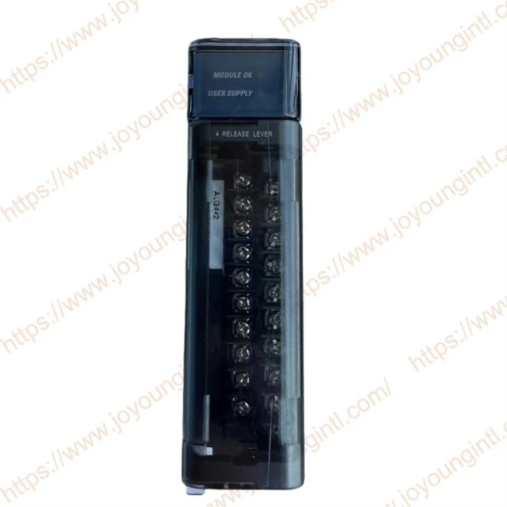 GE Fanuc IC694ALG442 Analog Giriş Çıkış Modülü